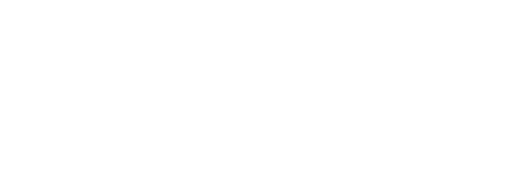 SSR GmbH & Co. KG Logo